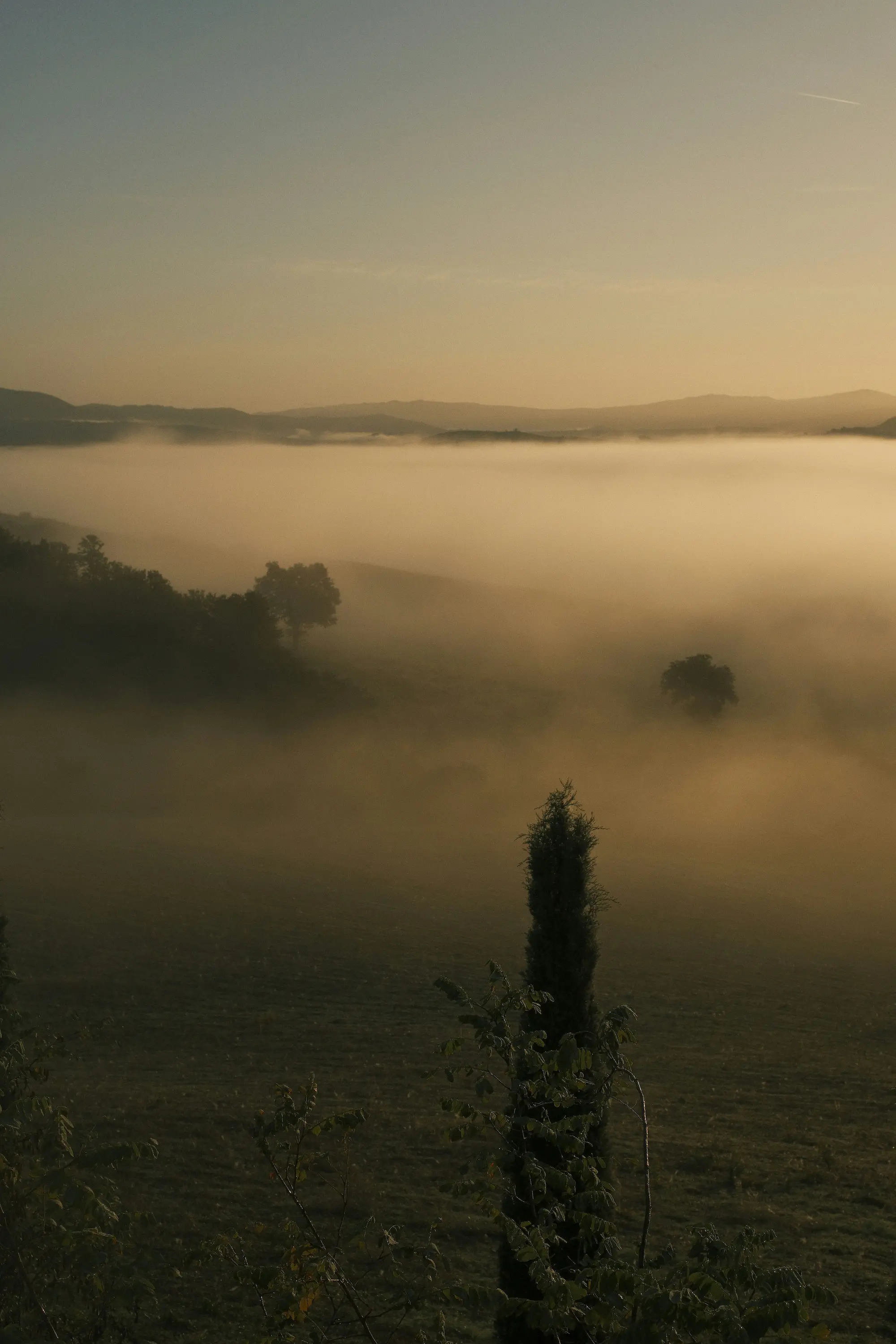 fog covering a tuscan valley