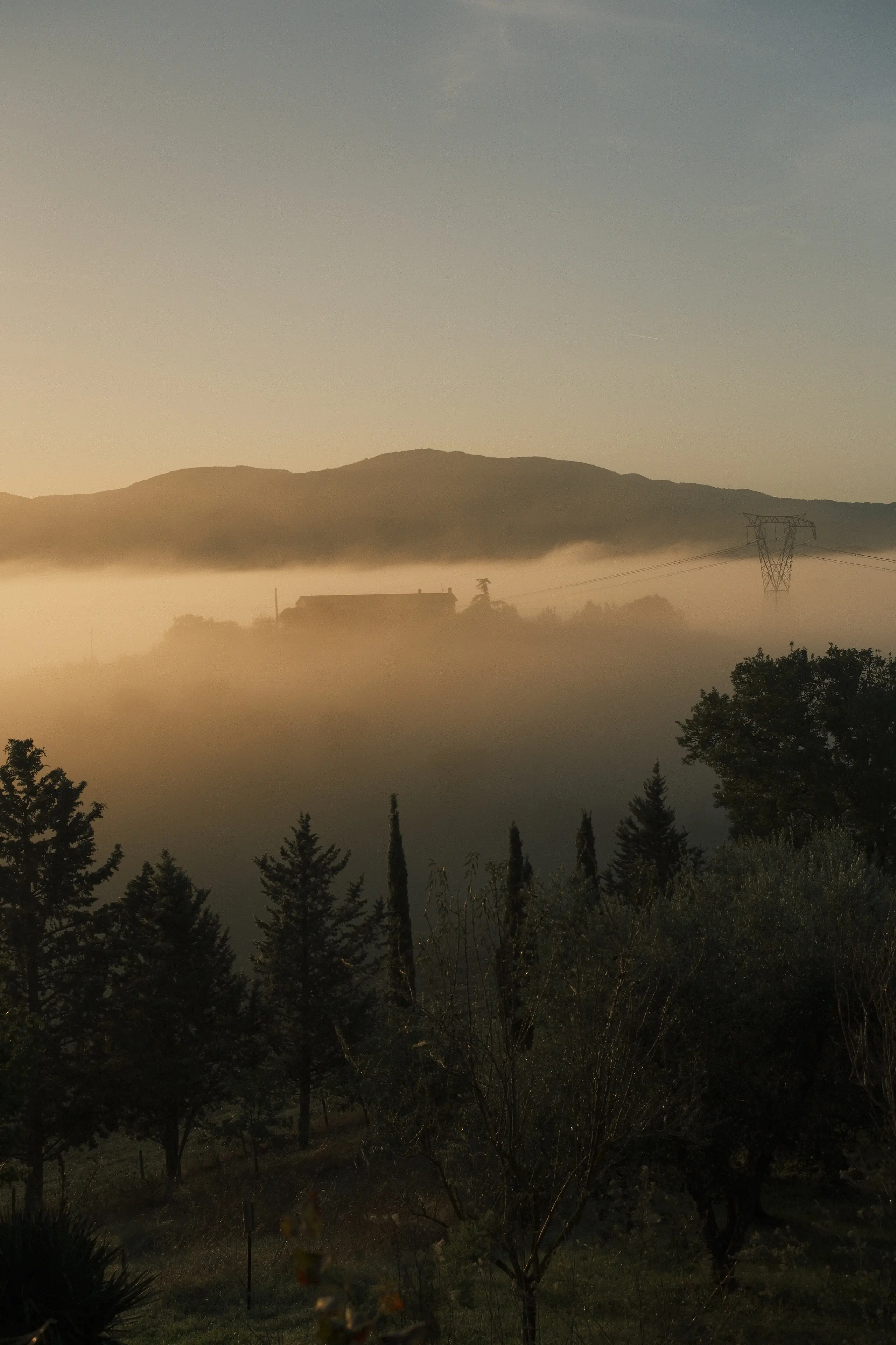 tuscan hill swallowed by fog