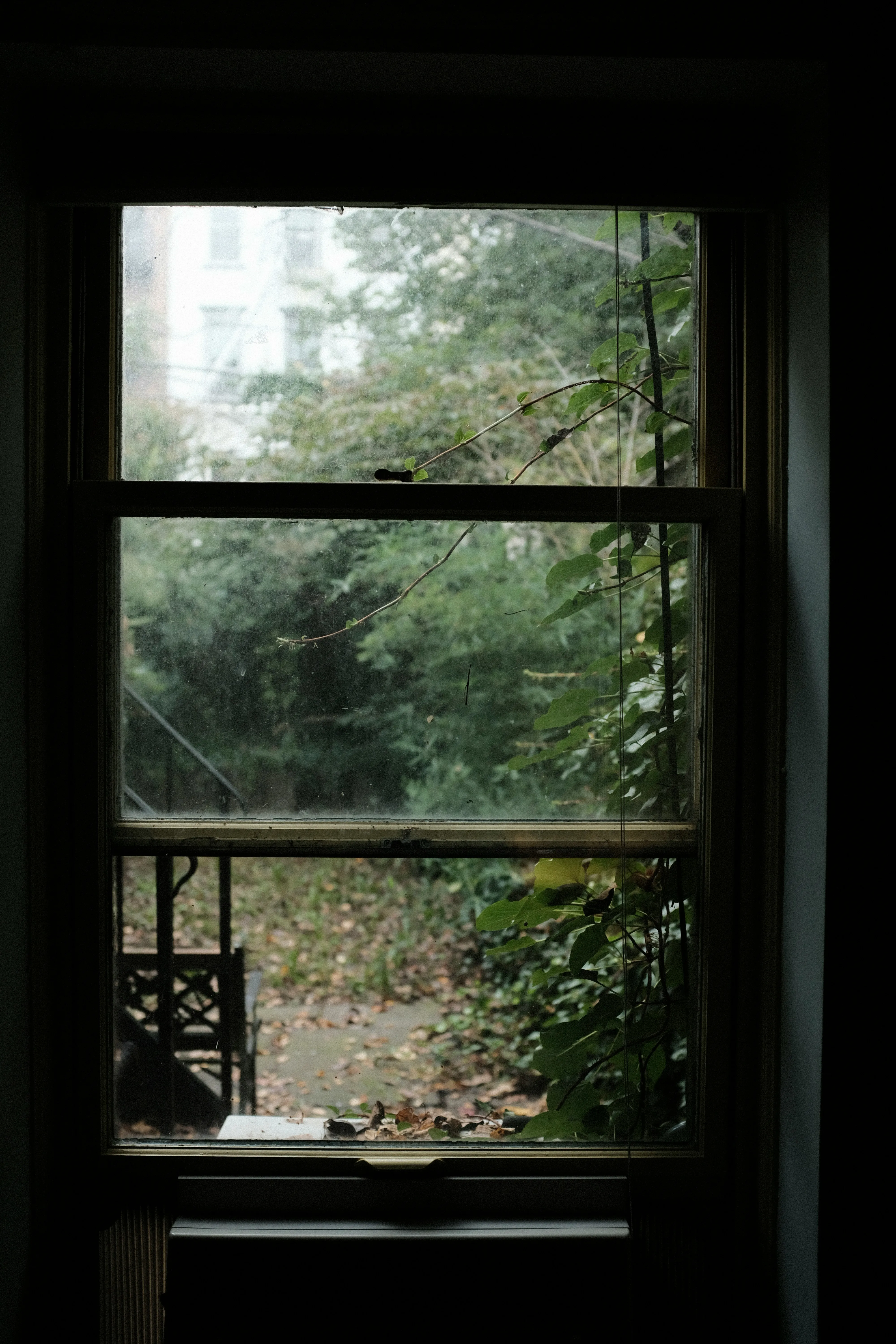 View from inside through a window into a garden