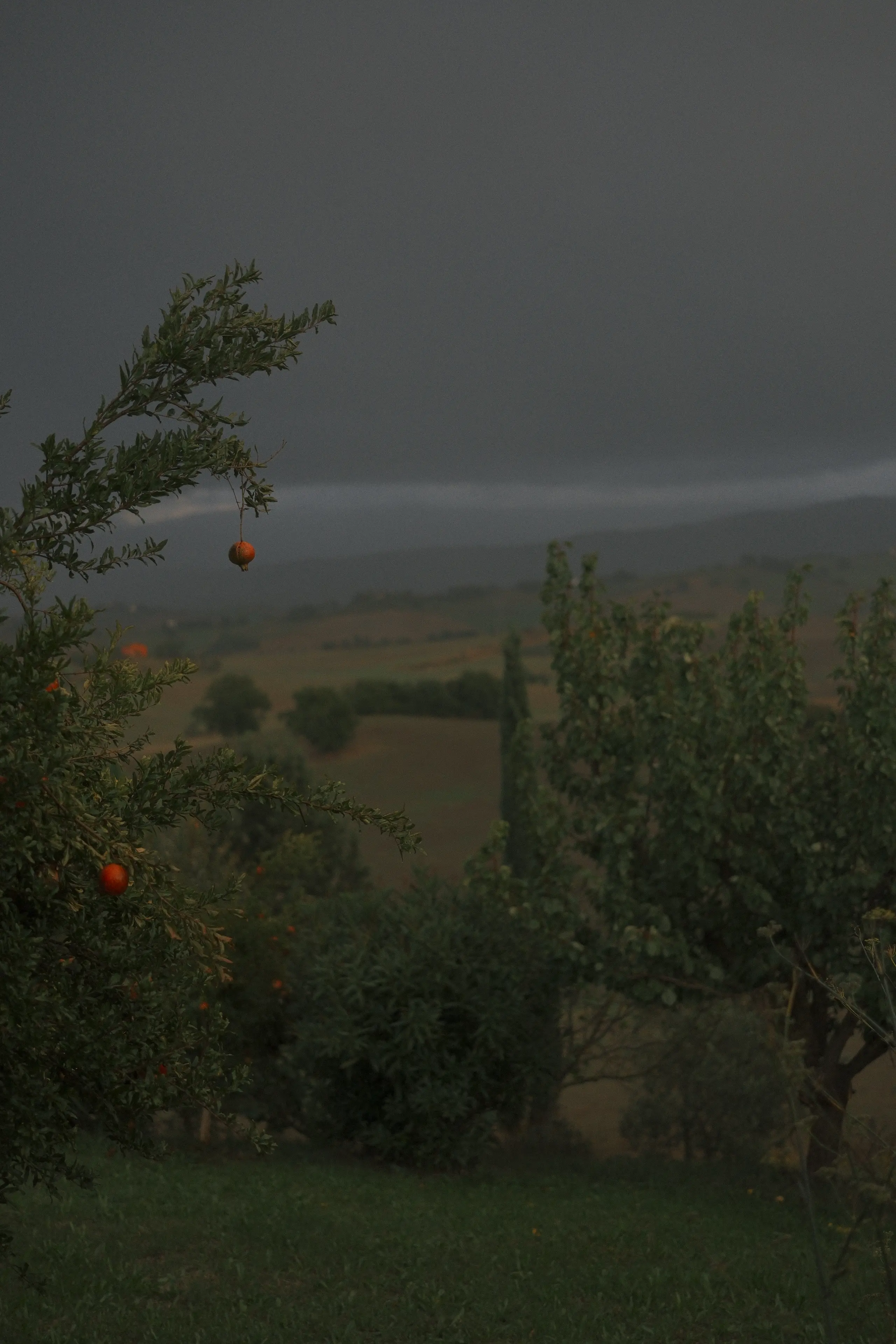 moody dark view of an italian landscape